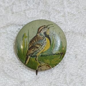Vintage Meadowlark Bird Illustration Pin